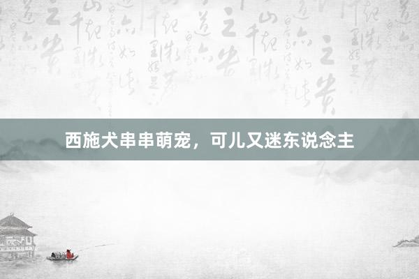 西施犬串串萌宠，可儿又迷东说念主